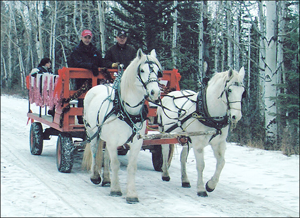 Brule Trail Rides bed and Breakfast Sleigh Rides