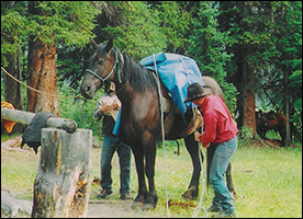 Horseback adventures for groups
