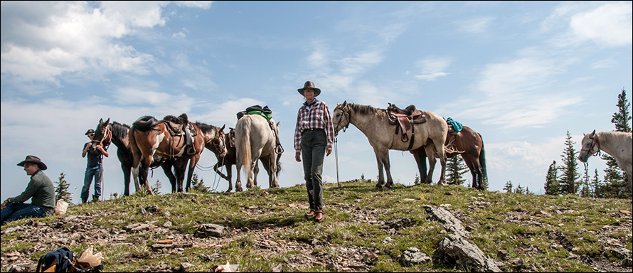 Rocky Mountain Horseback Adventures
