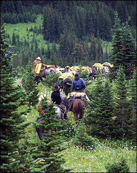 Horseback riding in the Alberta Rockies