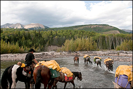 Willmore Wilderness Preservation and Historical Foundation