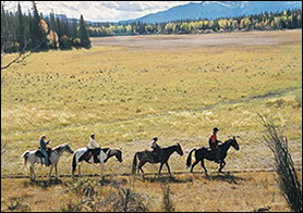 Entrance Ranch and log cabins Horseback Riding