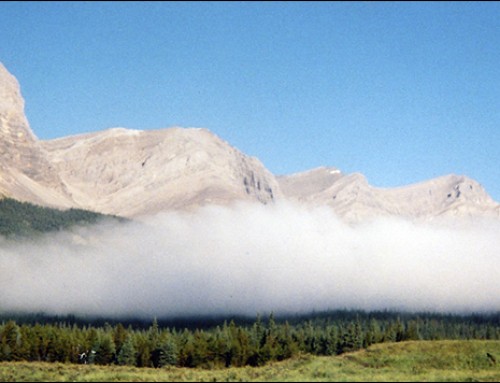 Experience the Beauty of the Alberta Rockies